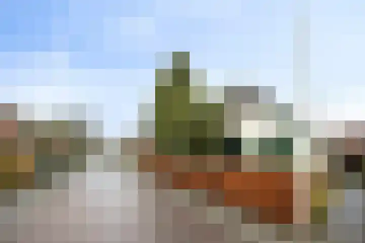 Kervelseweg 6 Hengelo (Gld) thumbnail 56
