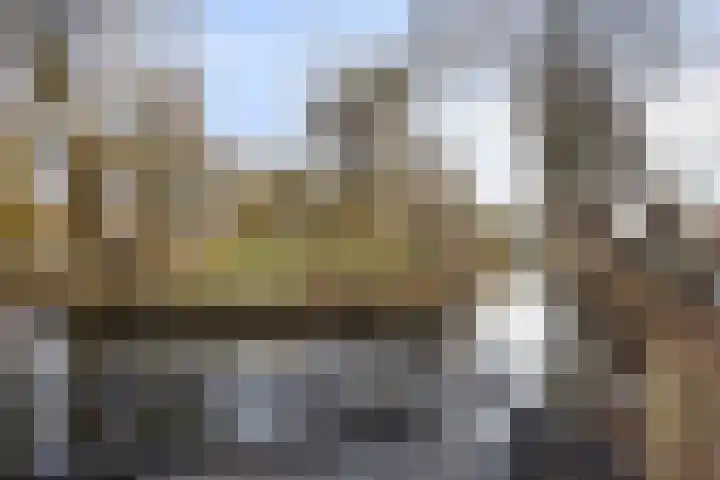 Kervelseweg 6 Hengelo (Gld) thumbnail 60