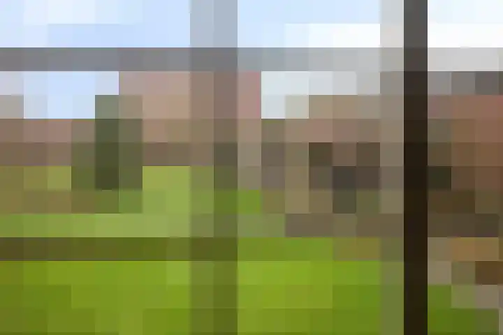 Kervelseweg 6 Hengelo (Gld) thumbnail 8