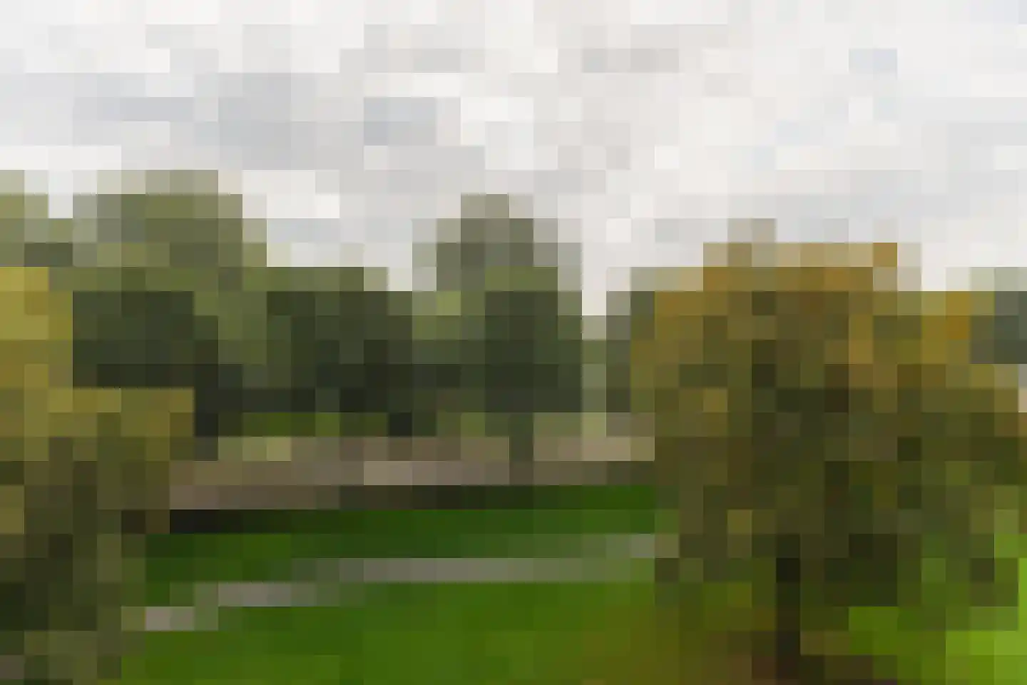 Kervelstraat 135 Krommenie thumbnail 22