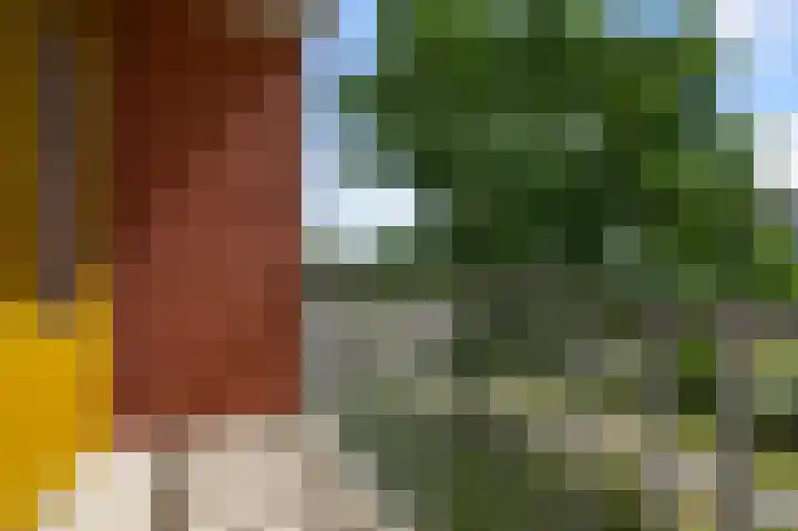 Kervelstraat 14 Krommenie thumbnail 8