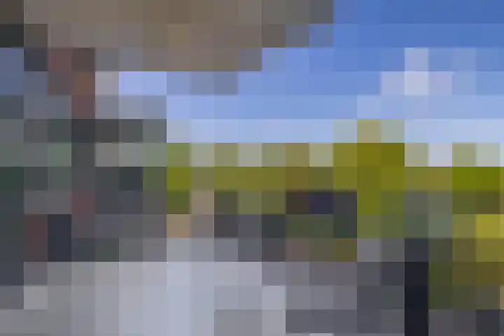 Kervelstraat 209 Krommenie thumbnail 22