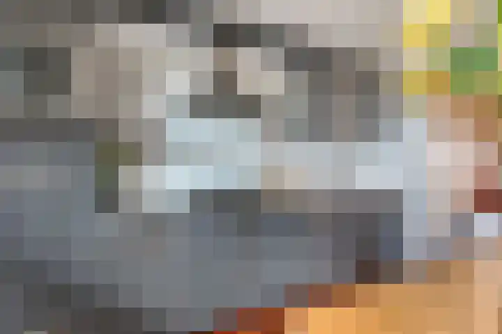 Kervelstraat 21 Arnhem thumbnail 26