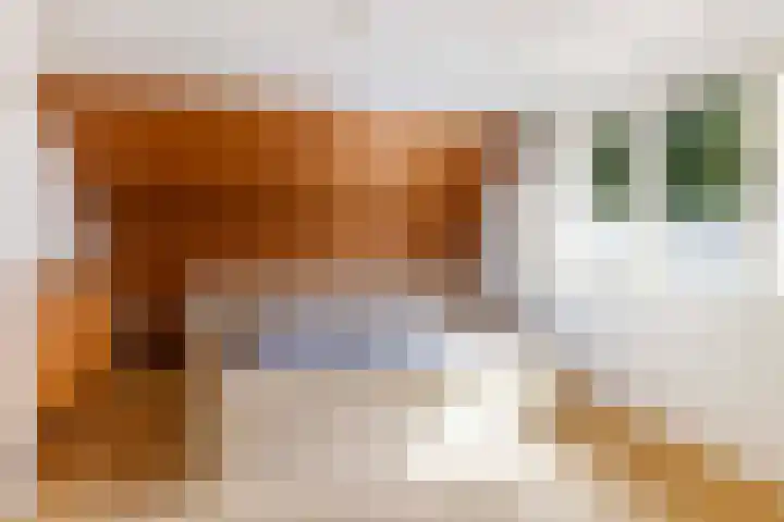 Kervelstraat 24 Voorst thumbnail 37