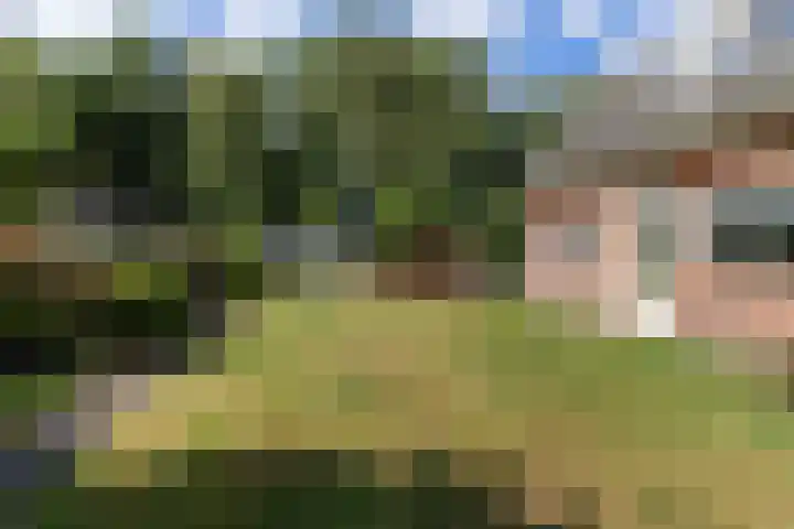 Kervelstraat 24 Voorst thumbnail 41