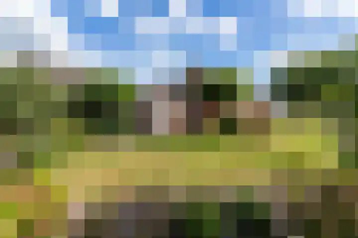 Kervelstraat 24 Voorst thumbnail 44