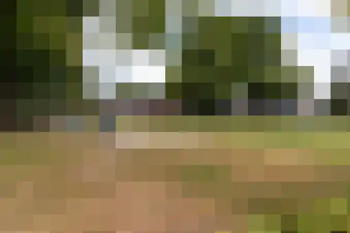 Kervelstraat 24 Voorst thumbnail 48
