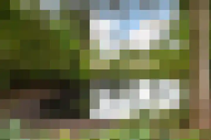 Kervelstraat 24 Voorst thumbnail 50