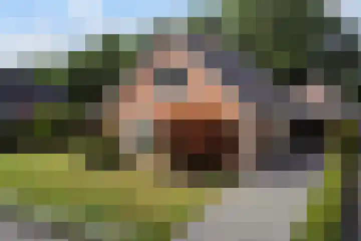 Kervelstraat 24 Voorst thumbnail 52