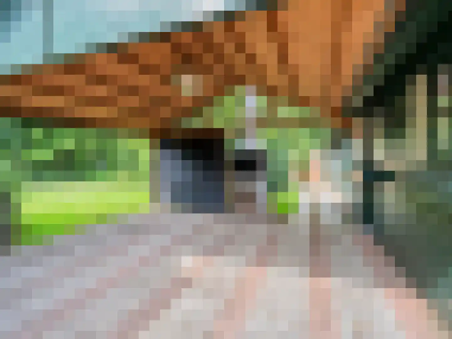 Kervelstraat 26 Voorst thumbnail 21