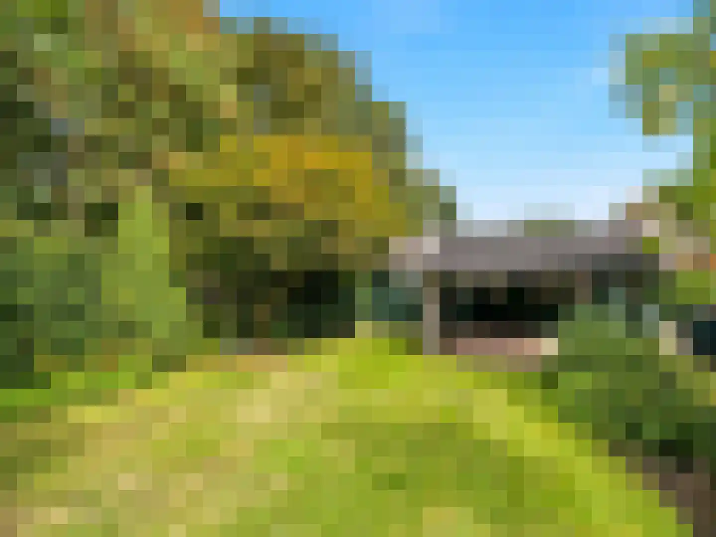 Kervelstraat 26 Voorst thumbnail 22