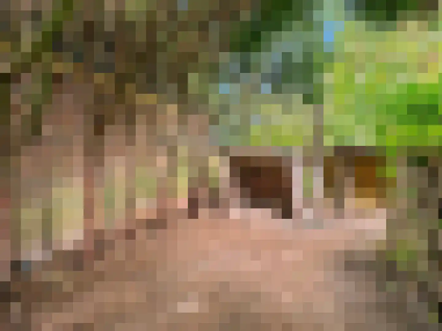 Kervelstraat 26 Voorst thumbnail 31