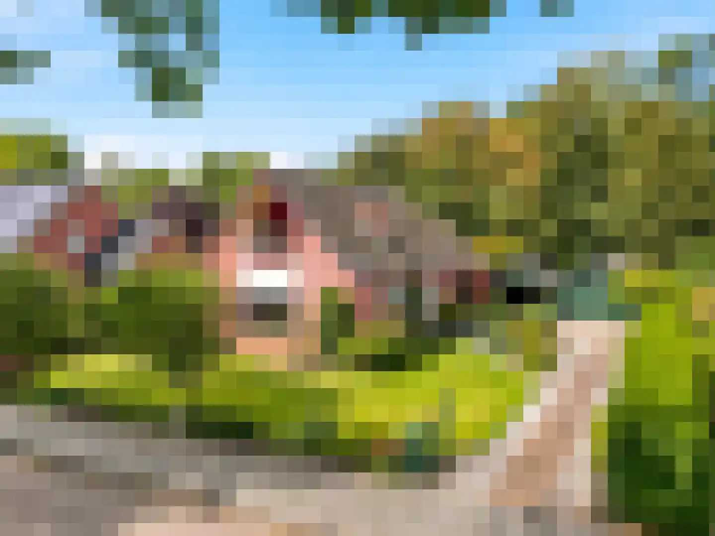 Kervelstraat 26 Voorst thumbnail 33