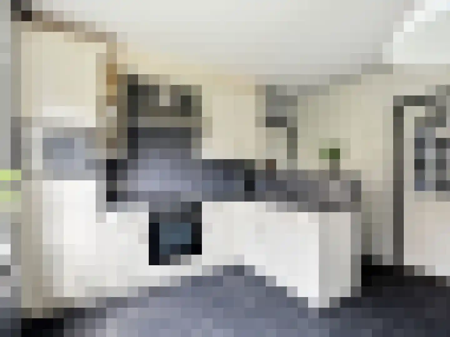Kervelstraat 26 Voorst thumbnail 7