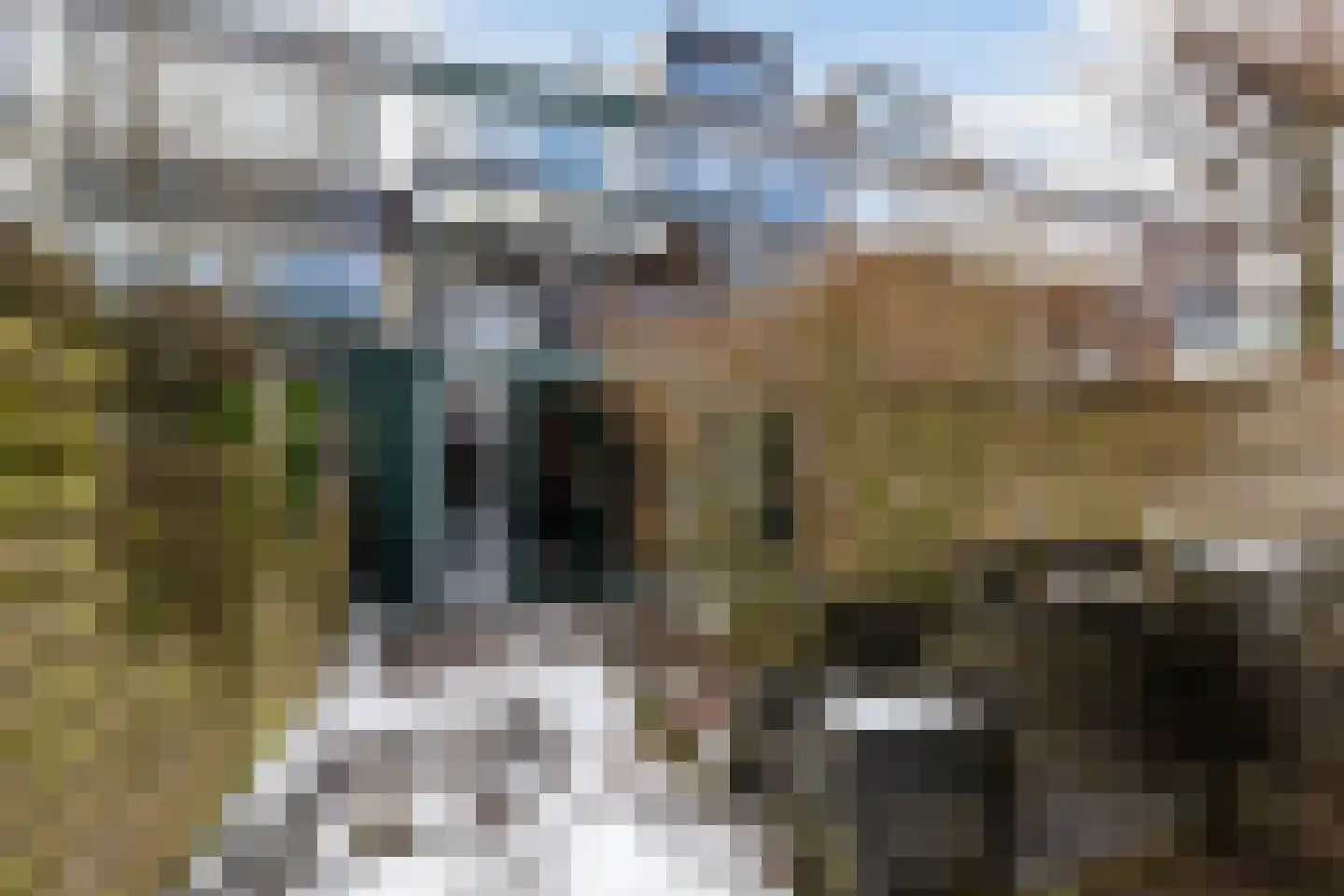 Kervelstraat 64 Apeldoorn thumbnail 29