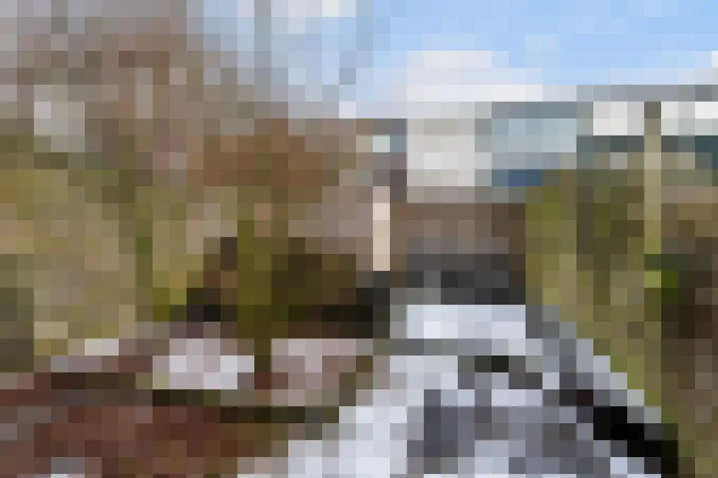 Kervelstraat 64 Apeldoorn thumbnail 30