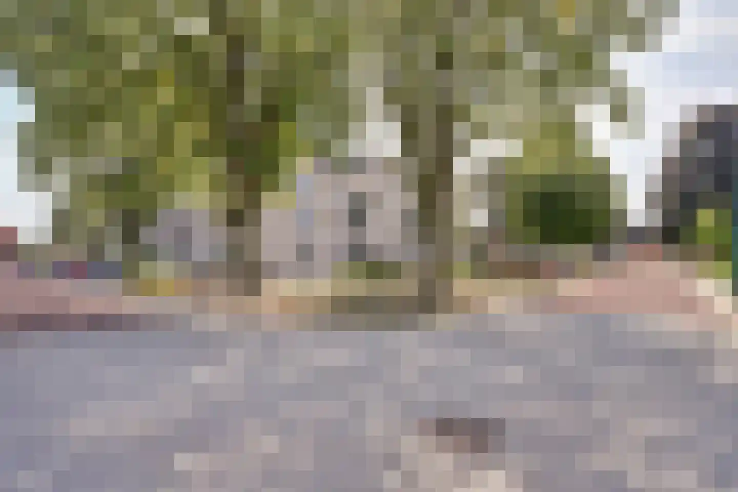 Kervelstraat 79 Bergeijk thumbnail 32