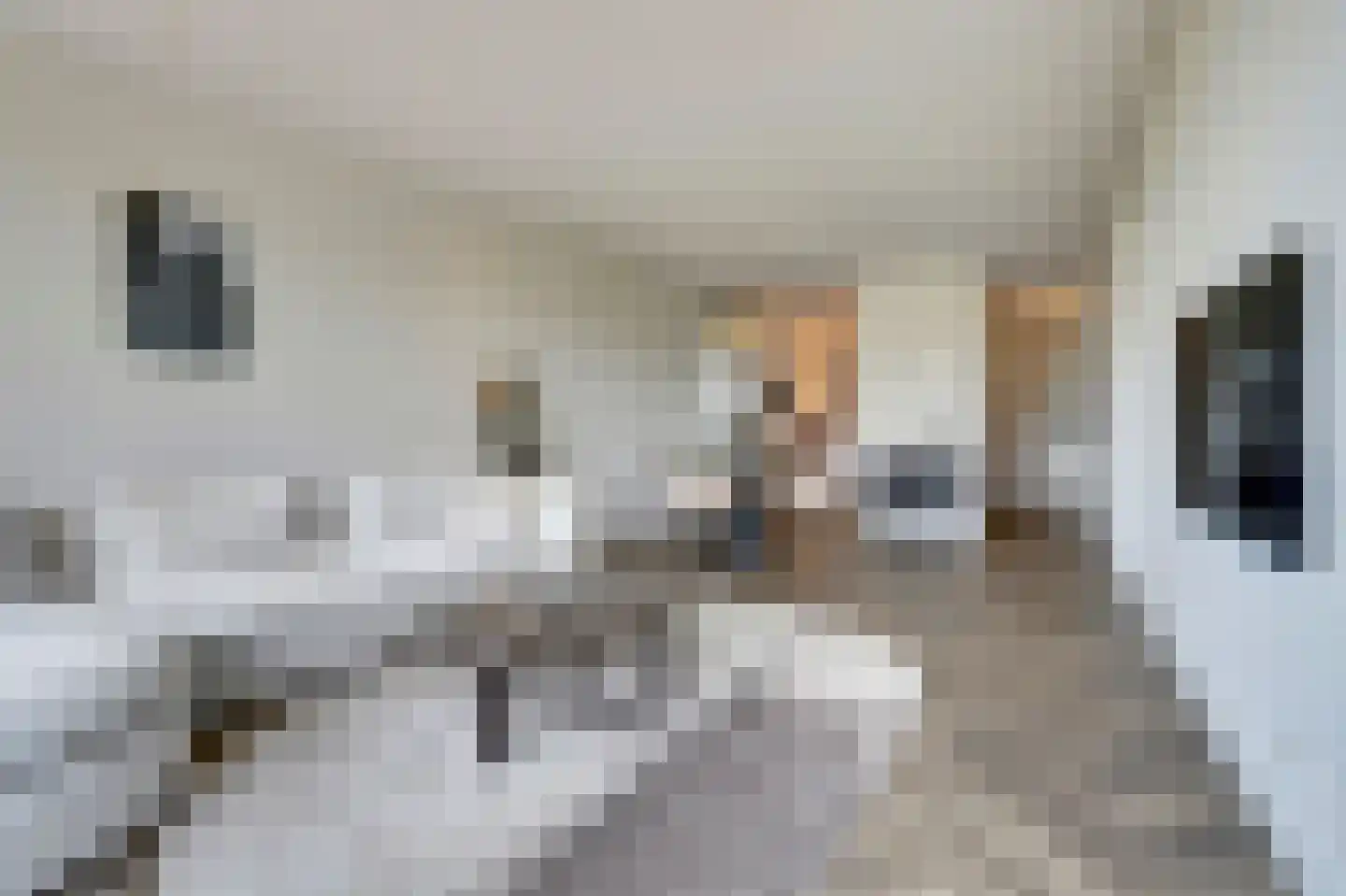 Kervelstraat 79 Bergeijk thumbnail 9