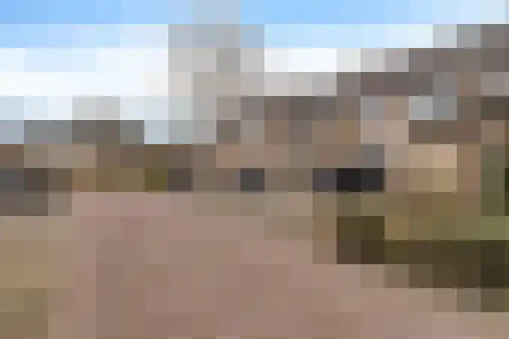Kerveltuin 46 Leiderdorp thumbnail 37