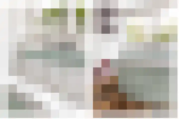 Kerveltuin 9 Leiderdorp thumbnail 19