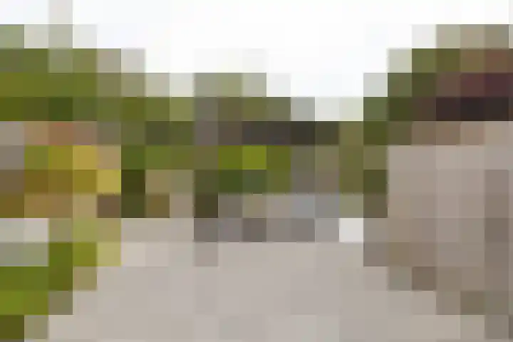 Kerveltuin 9 Leiderdorp thumbnail 20