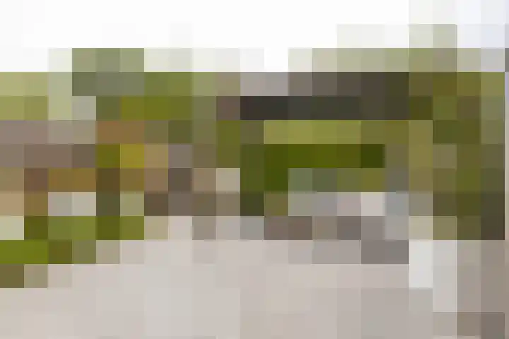 Kerveltuin 9 Leiderdorp thumbnail 21