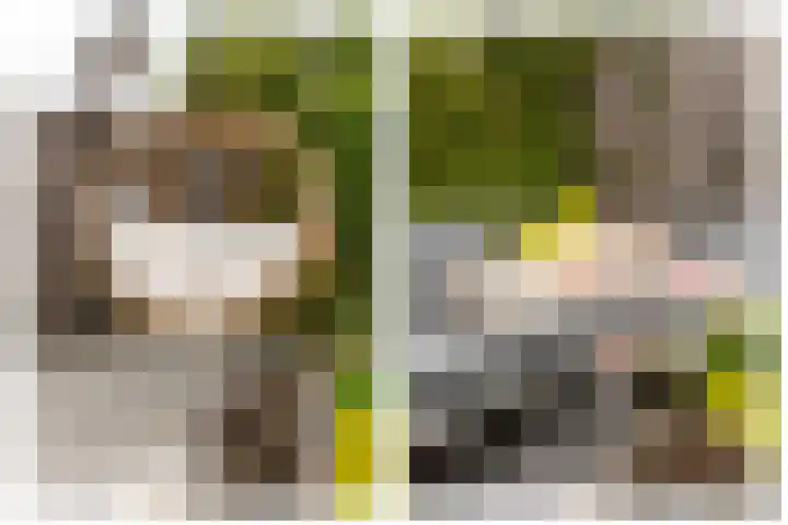 Kerveltuin 9 Leiderdorp thumbnail 22