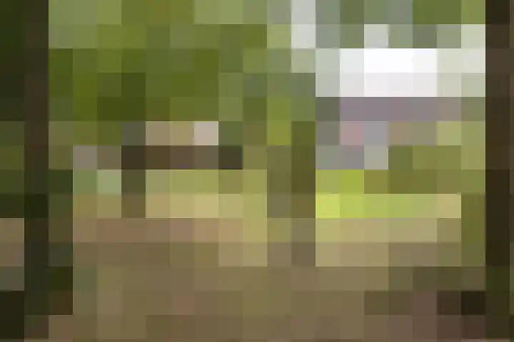 Kerveltuin 9 Leiderdorp thumbnail 27
