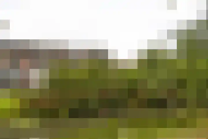 Kerveltuin 9 Leiderdorp thumbnail 28