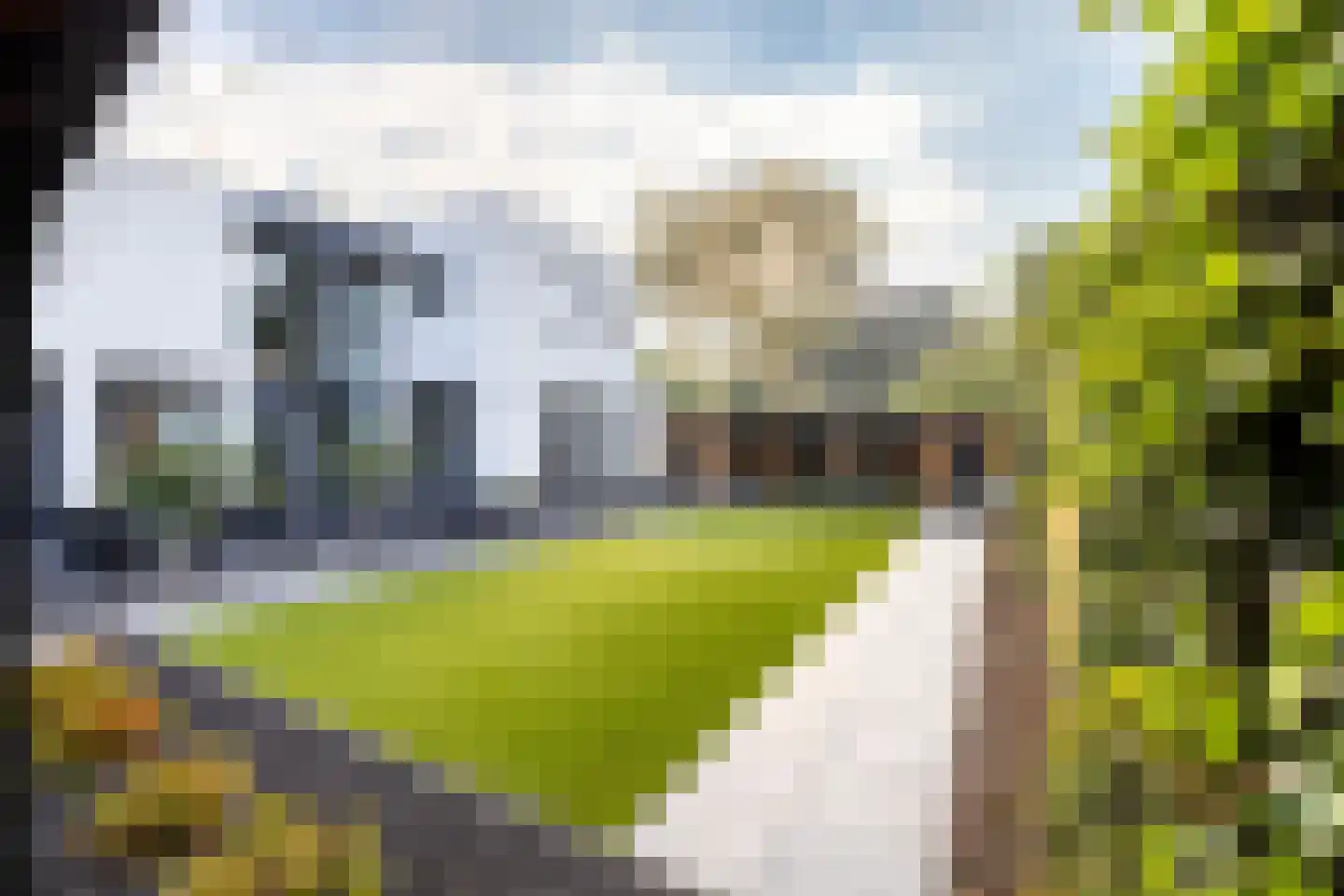 Kervelveld 13 Doetinchem thumbnail 19