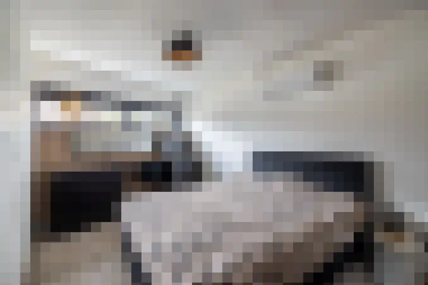 Kervelveld 13 Doetinchem thumbnail 37
