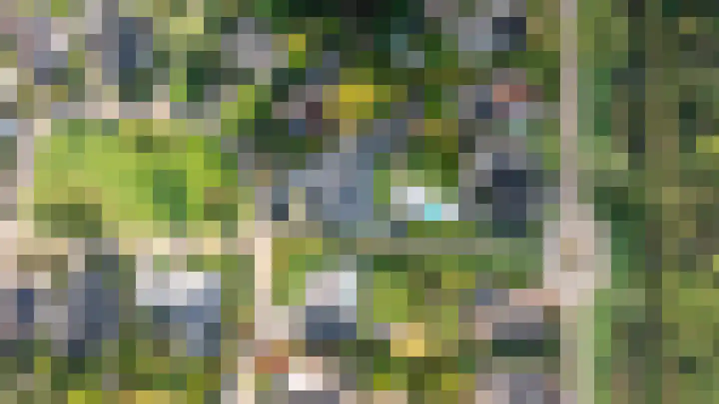 Kervelveld 13 Doetinchem thumbnail 58