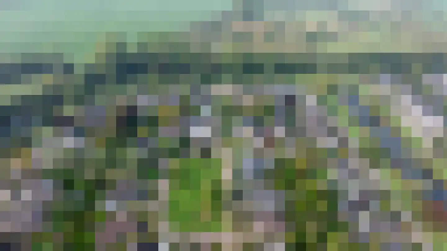Kervelveld 13 Doetinchem thumbnail 59