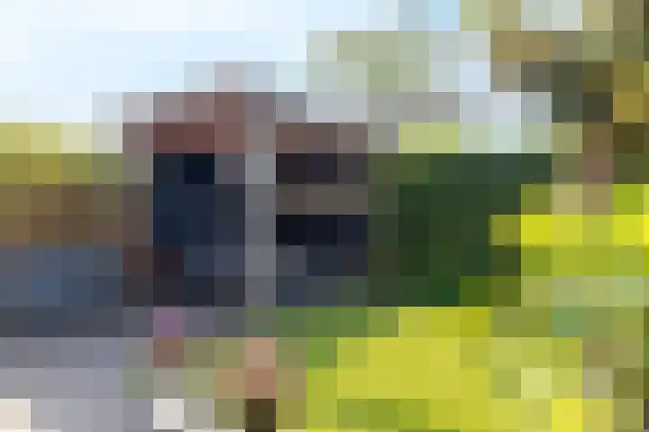 Kervelweg 1 Zwolle thumbnail 30