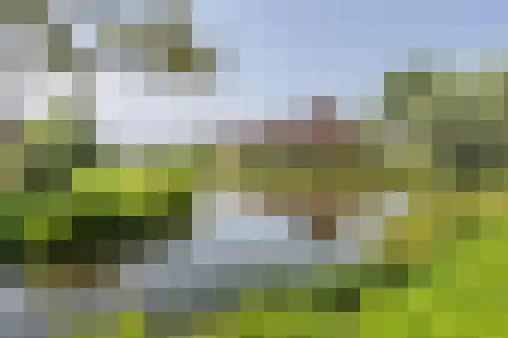Kervelweg 1 Zwolle thumbnail 38