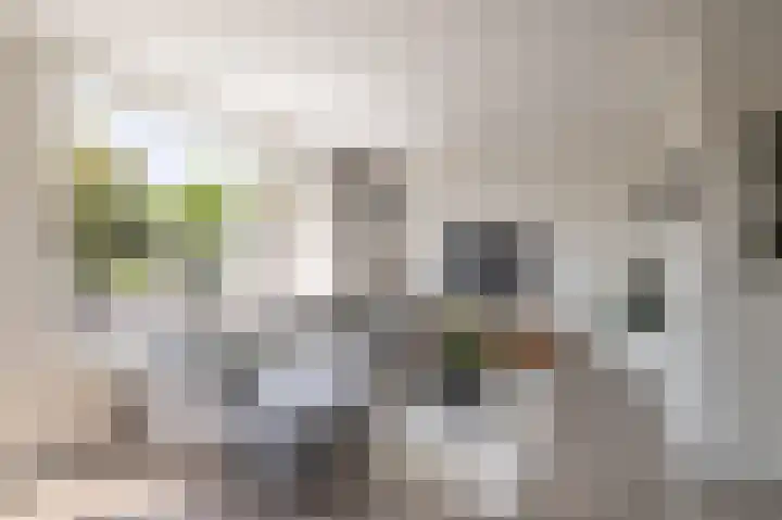 Kervelweg 1 Zwolle thumbnail 4