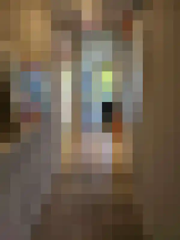 Kerverijstraat 36 Valkenswaard thumbnail 10