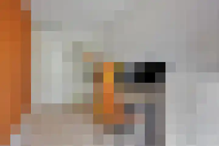 Kerverijstraat 36 Valkenswaard thumbnail 31