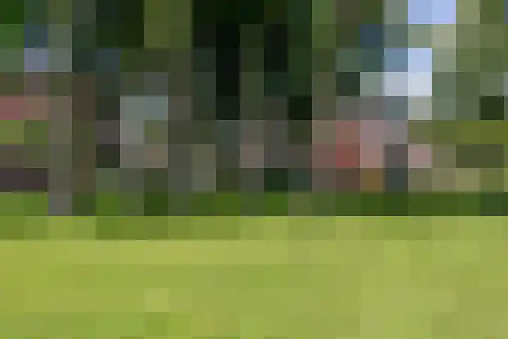 Kerverijstraat 42 Valkenswaard thumbnail 23