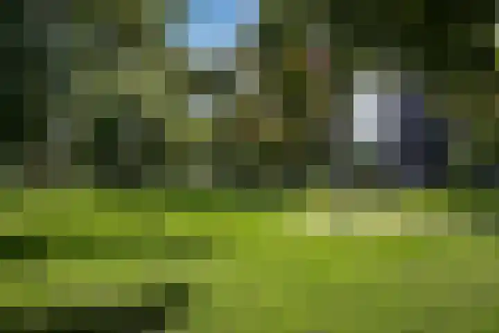 Kerverijstraat 42 Valkenswaard thumbnail 24
