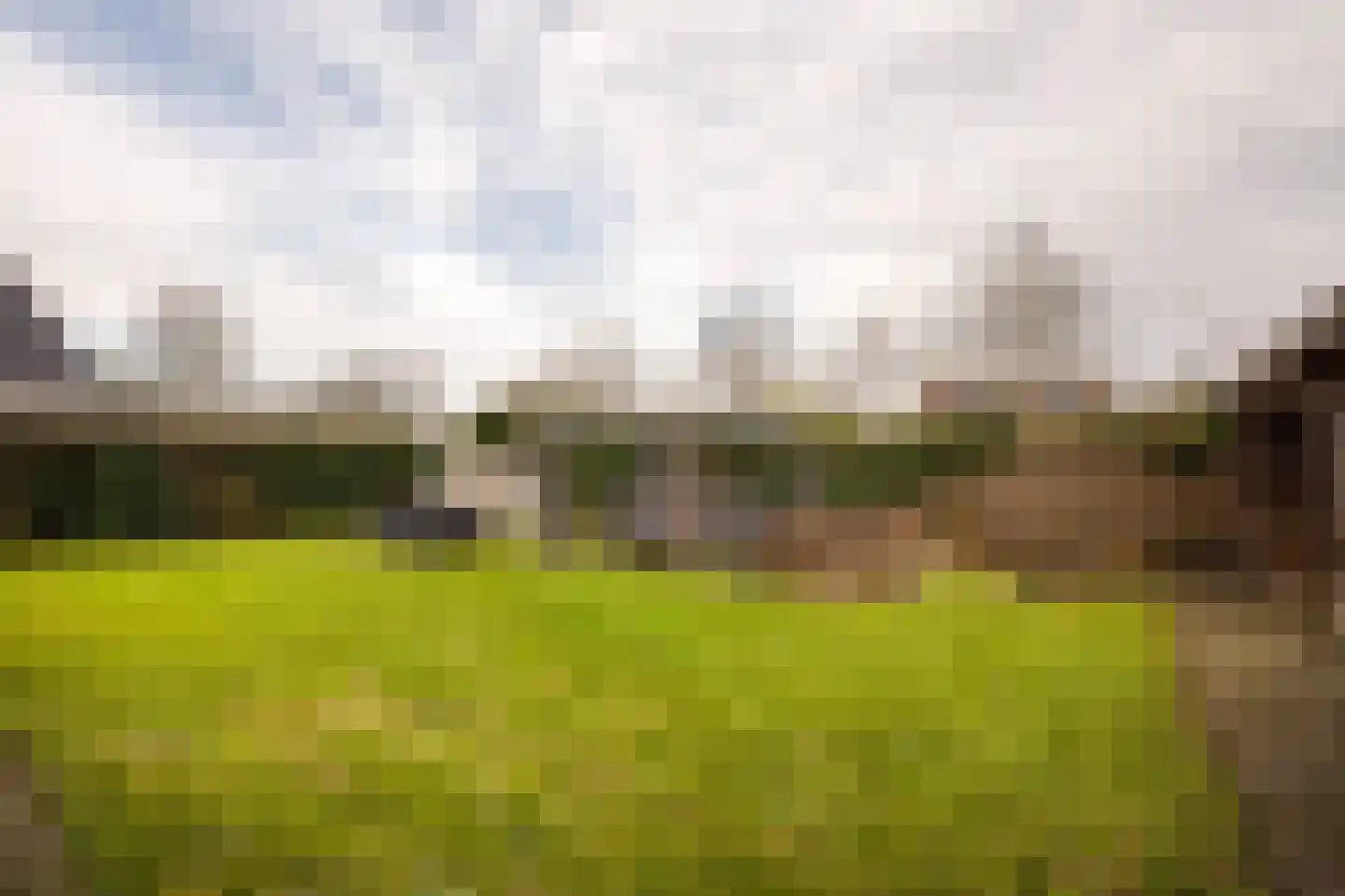 Kervinkpolder 18 Bergen op Zoom thumbnail 46