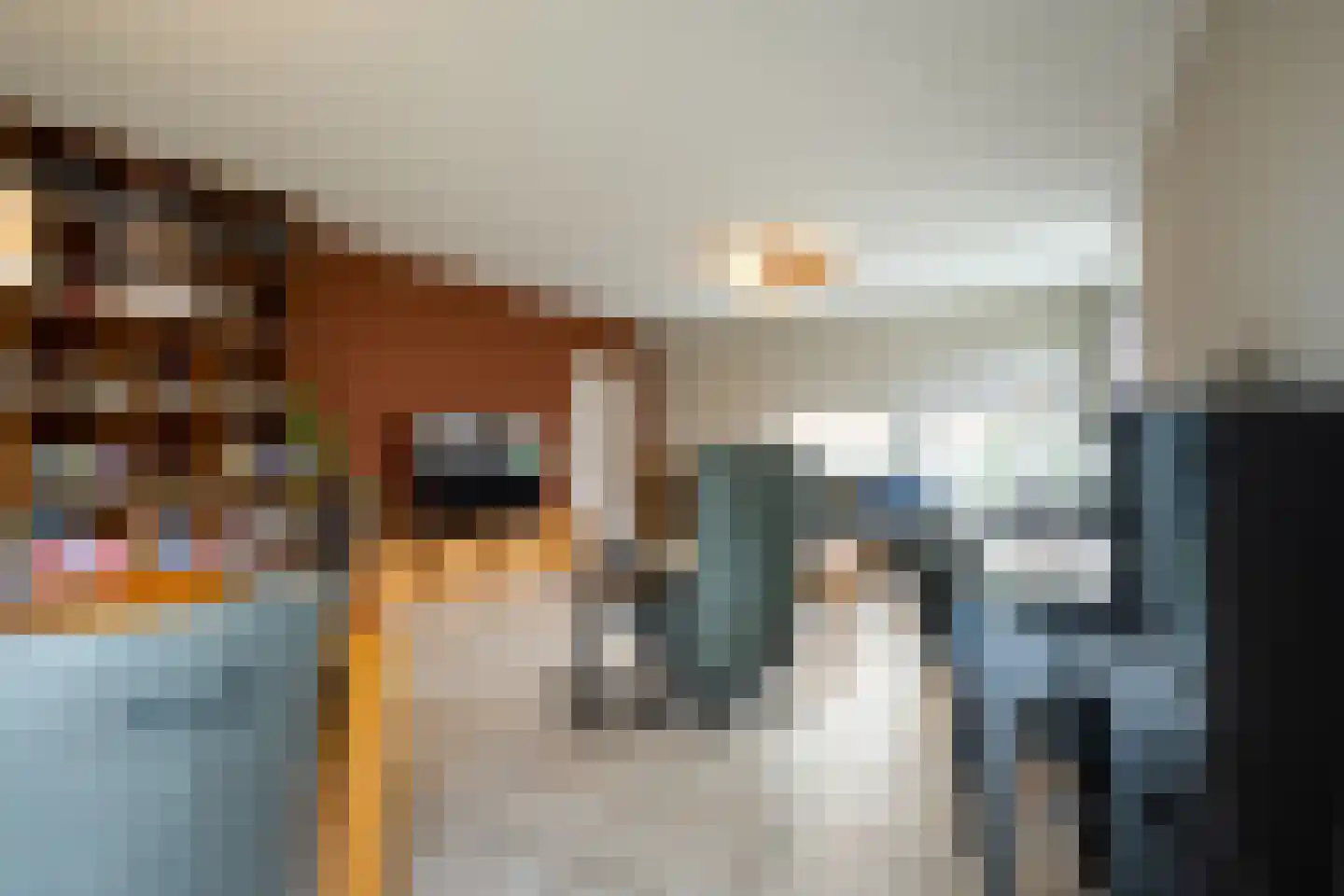 Kervinkpolder 18 Bergen op Zoom thumbnail 5