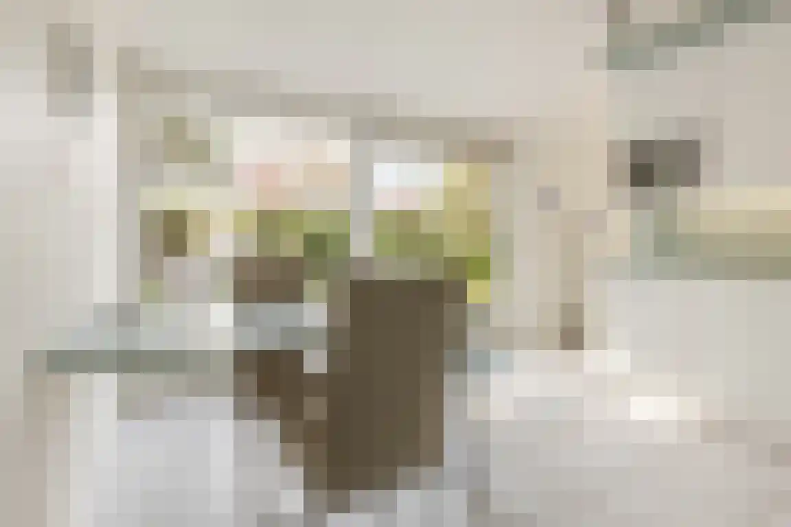 Kervinkpolder 2 Bergen op Zoom thumbnail 12