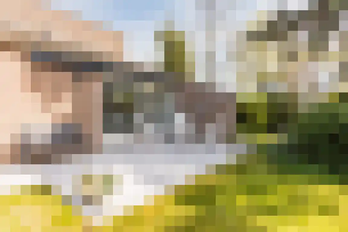 Kervinkpolder 2 Bergen op Zoom thumbnail 34