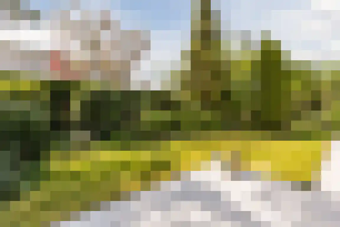Kervinkpolder 2 Bergen op Zoom thumbnail 35