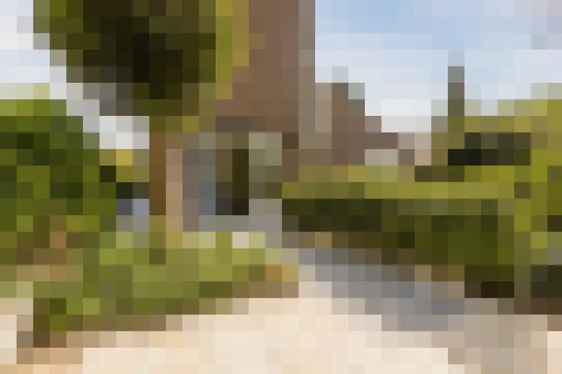 Kervinkpolder 2 Bergen op Zoom thumbnail 37