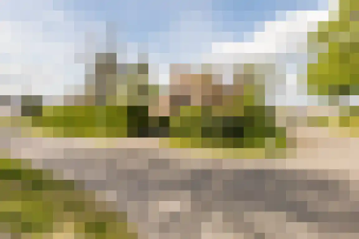 Kervinkpolder 2 Bergen op Zoom thumbnail 39