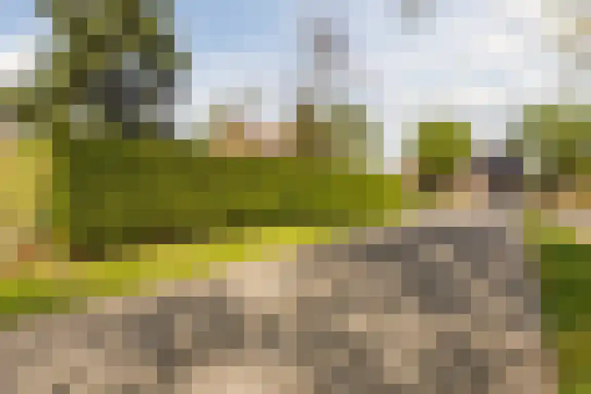 Kervinkpolder 2 Bergen op Zoom thumbnail 40
