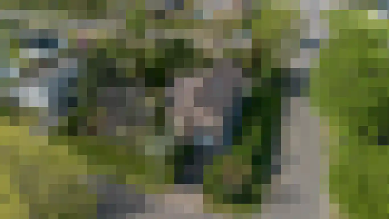 Kervinkpolder 2 Bergen op Zoom thumbnail 41