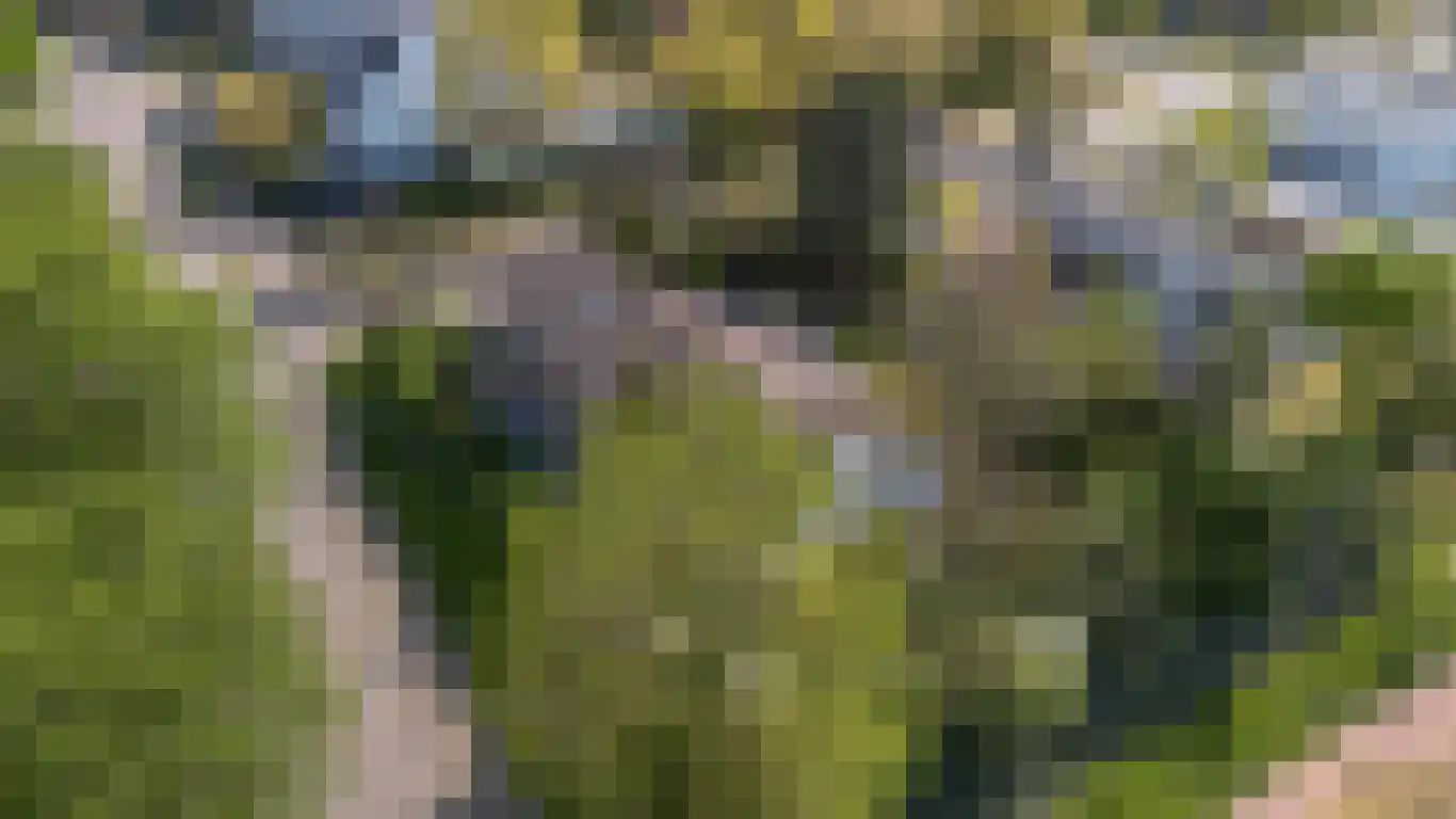 Kervinkpolder 2 Bergen op Zoom thumbnail 42